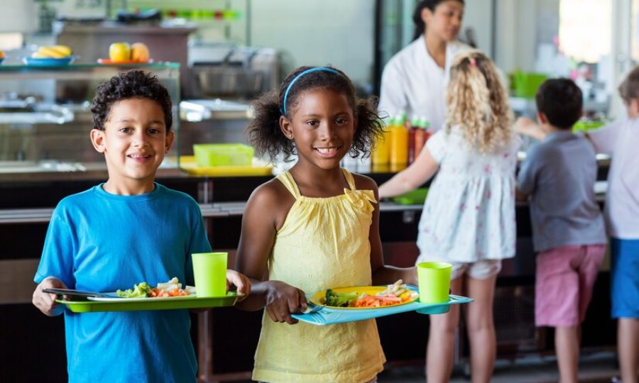 alimentacion saludable